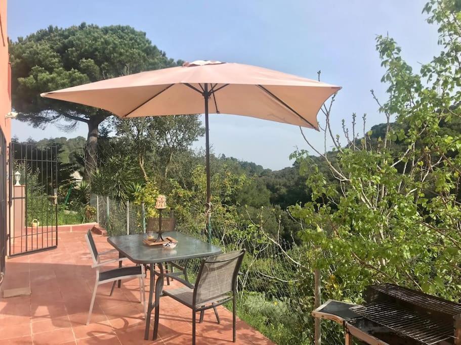 Ferienwohnung Apartamento Begur Exterior foto